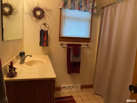 1123 E Sycamore St, Canton, IL 61520 photo 17