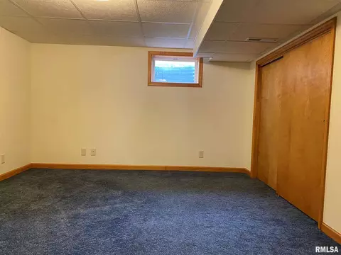 1123 E Sycamore St, Canton, IL 61520 photo 23