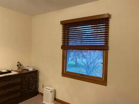 1123 E Sycamore St, Canton, IL 61520 photo 13