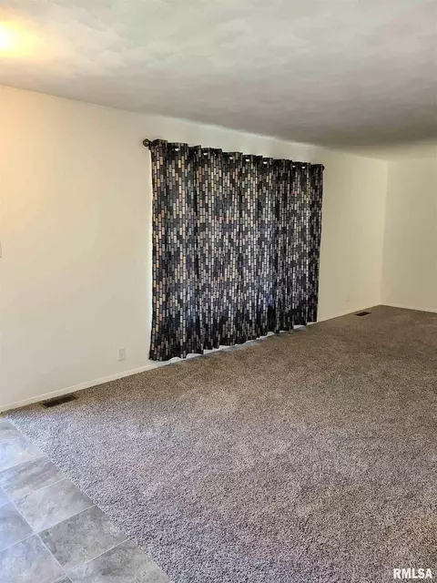 1435 E Sycamore St, Canton, IL 61520 photo 3