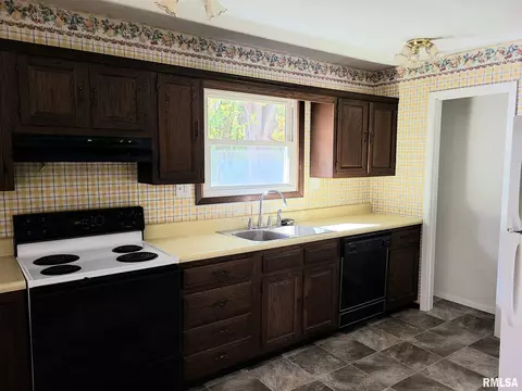 1435 E Sycamore St, Canton, IL 61520 photo 9