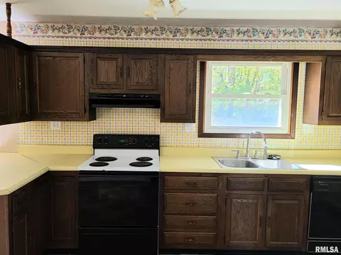 1435 E Sycamore St, Canton, IL 61520 photo 8