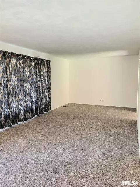 1435 E Sycamore St, Canton, IL 61520 photo 2