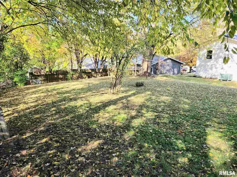 1435 E Sycamore St, Canton, IL 61520 photo 34