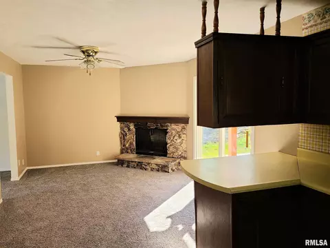 1435 E Sycamore St, Canton, IL 61520 photo 11