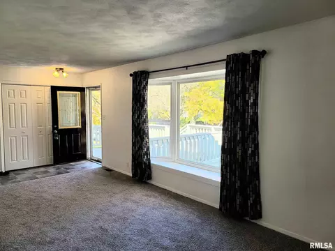 1435 E Sycamore St, Canton, IL 61520 photo 4
