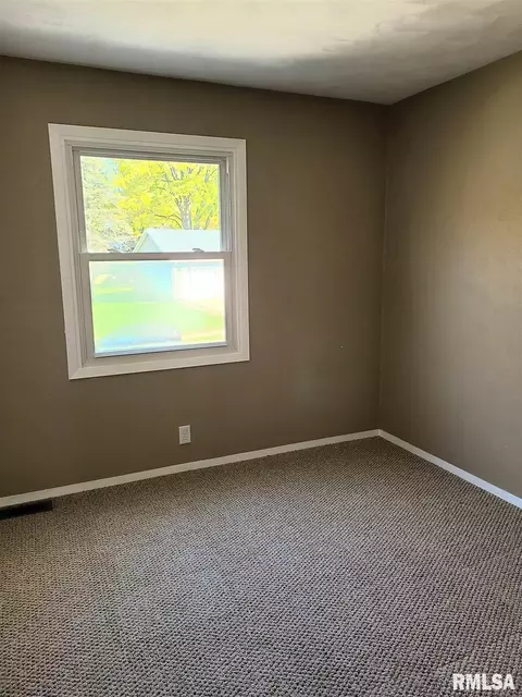 1435 E Sycamore St, Canton, IL 61520 photo 18