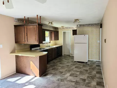 1435 E Sycamore St, Canton, IL 61520 photo 6