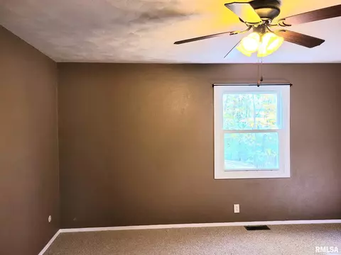 1435 E Sycamore St, Canton, IL 61520 photo 22