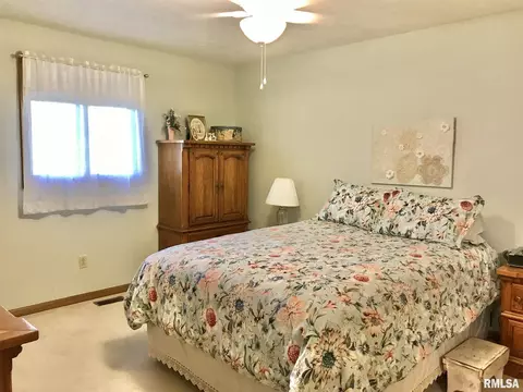 1455 E Myrtle St, Canton, IL 61520 photo 16