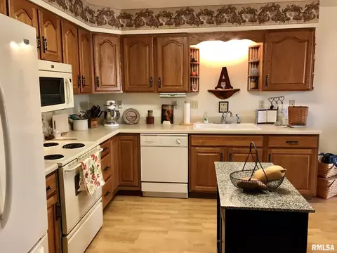 1455 E Myrtle St, Canton, IL 61520 photo 7
