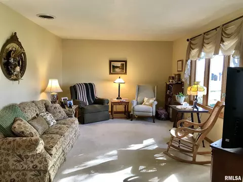 1455 E Myrtle St, Canton, IL 61520 photo 4