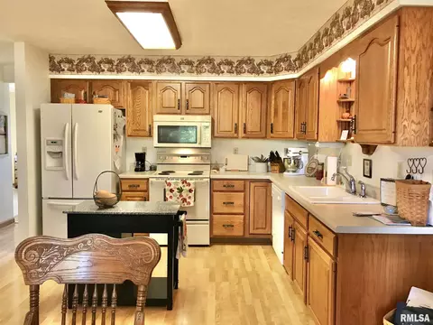 1455 E Myrtle St, Canton, IL 61520 photo 11