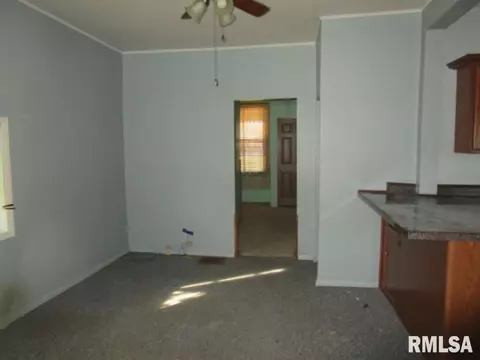 706 E Walnut St, Canton, IL 61520 photo 9