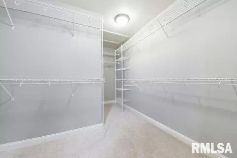 6419 W Hazel Nut Dr, Edwards, IL 61528 photo 18