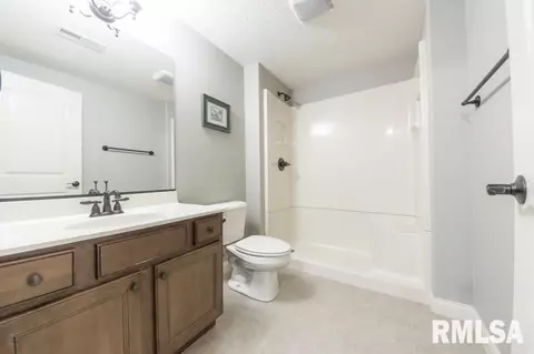 6419 W Hazel Nut Dr, Edwards, IL 61528 photo 23