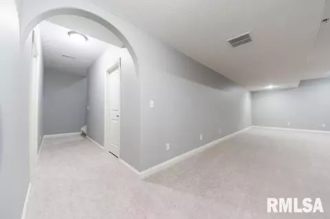 6419 W Hazel Nut Dr, Edwards, IL 61528 photo 22
