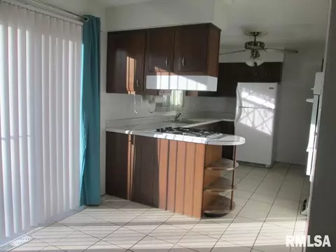 811 S Kickapoo Ln, Peoria, IL 61604 photo 9