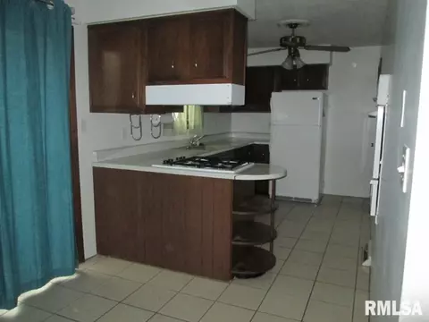 811 S Kickapoo Ln, Peoria, IL 61604 photo 11