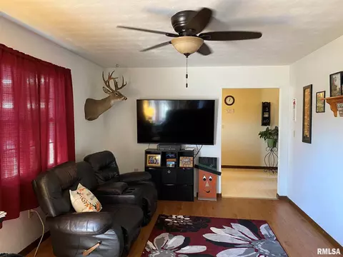 1325 E Locust St, Canton, IL 61520 photo 2