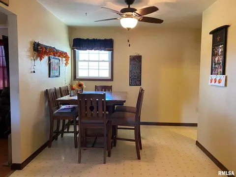 1325 E Locust St, Canton, IL 61520 photo 9