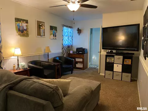 1325 E Locust St, Canton, IL 61520 photo 14