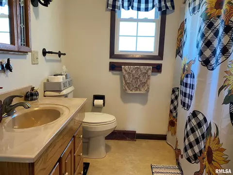 1325 E Locust St, Canton, IL 61520 photo 22