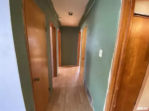 203 E Main St, Industry, IL 61440 photo 7
