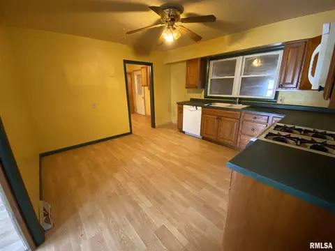203 E Main St, Industry, IL 61440 photo 6