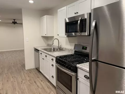 1217 E Locust St, Canton, IL 61520 photo 11