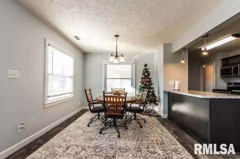 205 W Gloria Dr, Eureka, IL 61530 photo 9