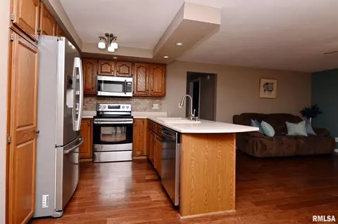 9711 W Dover Ct, Mapleton, IL 61547 photo 29
