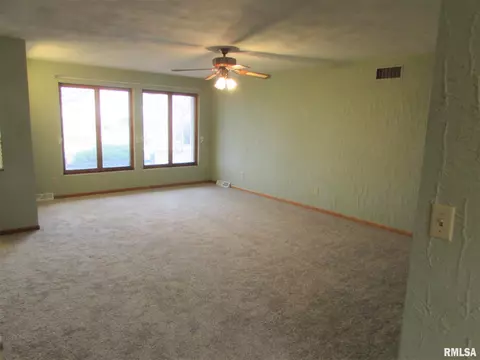 1222 E Mckinley St, Lowpoint, IL 61545 photo 7