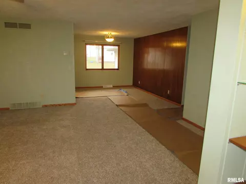 1222 E Mckinley St, Lowpoint, IL 61545 photo 8