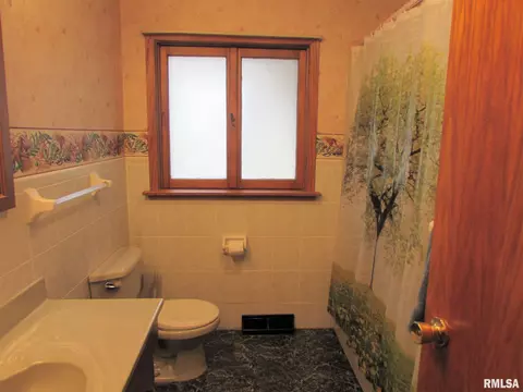 1222 E Mckinley St, Lowpoint, IL 61545 photo 36