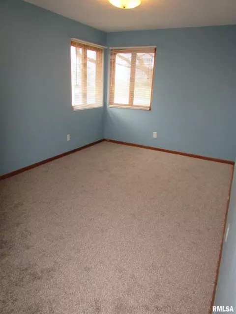 1222 E Mckinley St, Lowpoint, IL 61545 photo 33