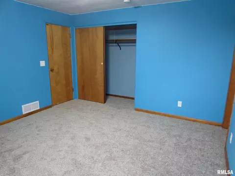 1222 E Mckinley St, Lowpoint, IL 61545 photo 29
