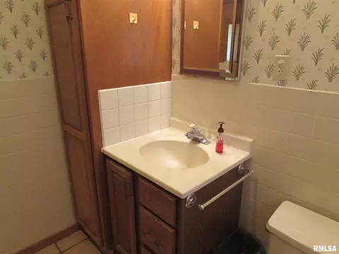 1222 E Mckinley St, Lowpoint, IL 61545 photo 23