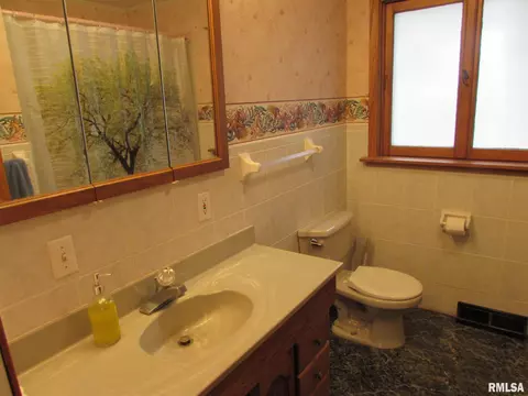 1222 E Mckinley St, Lowpoint, IL 61545 photo 37