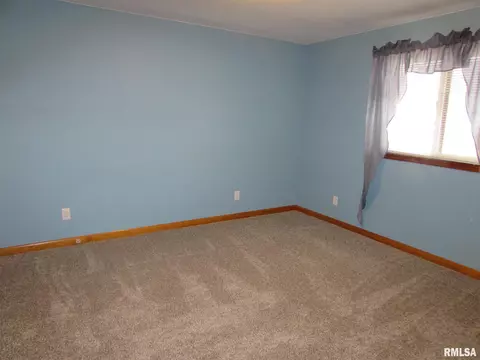 1222 E Mckinley St, Lowpoint, IL 61545 photo 32