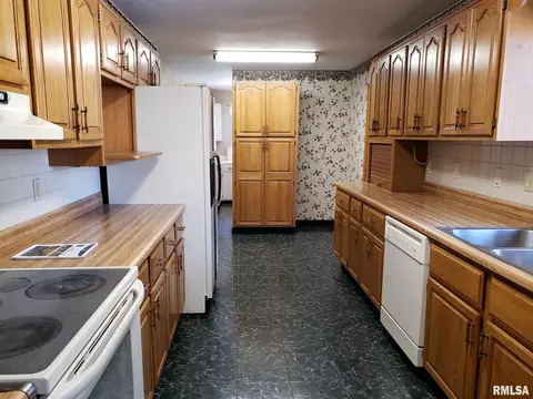 1222 E Mckinley St, Lowpoint, IL 61545 photo 9