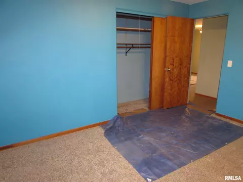 1222 E Mckinley St, Lowpoint, IL 61545 photo 34