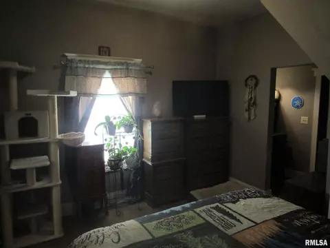 357 N Avenue B Avenue B, Canton, IL 61520 photo 15