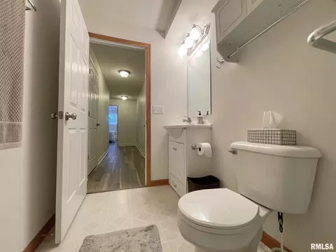 503 Bittersweet Ave, Germantown Hills, IL 61548 photo 34