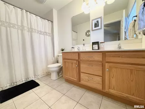 503 Bittersweet Ave, Germantown Hills, IL 61548 photo 20