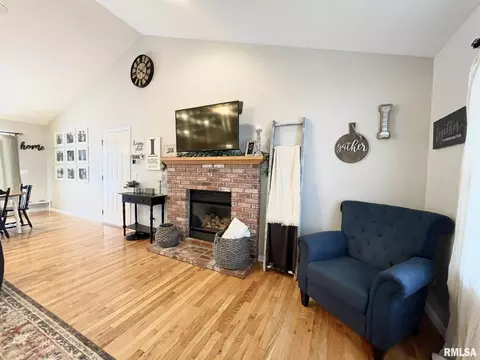 503 Bittersweet Ave, Germantown Hills, IL 61548 photo 8