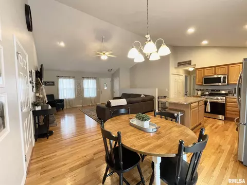 503 Bittersweet Ave, Germantown Hills, IL 61548 photo 11