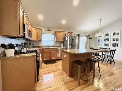 503 Bittersweet Ave, Germantown Hills, IL 61548 photo 14