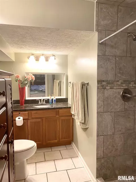 2117 W Murphy Dr, Dunlap, IL 61525 photo 16