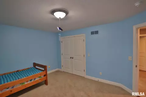 6405 W Willow Oak Ct, Edwards, IL 61528 photo 23